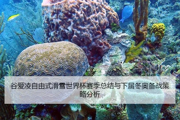 gu-ai-ling-zi-you-shi-hua-xue-shi-jie-bei-sai-ji-zong-jie-yu-xia-jie-dong-ao-bei-zhan-ce-lve-fen-xi-3-930.jpg